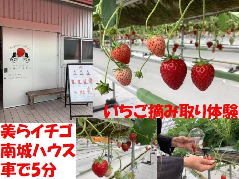 サファイアリゾートokinawa: オーシャンビューの貸切bbqヴィラ * Nanjo